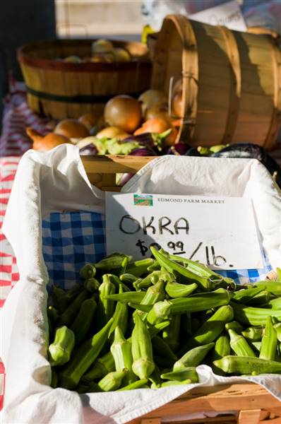 Edmond Festival Market Place (6/20/2016)