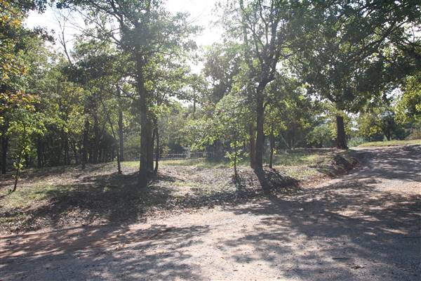 Camp DaKaNi (10/20/2017 - Credits: Christa Whetstone (intern))