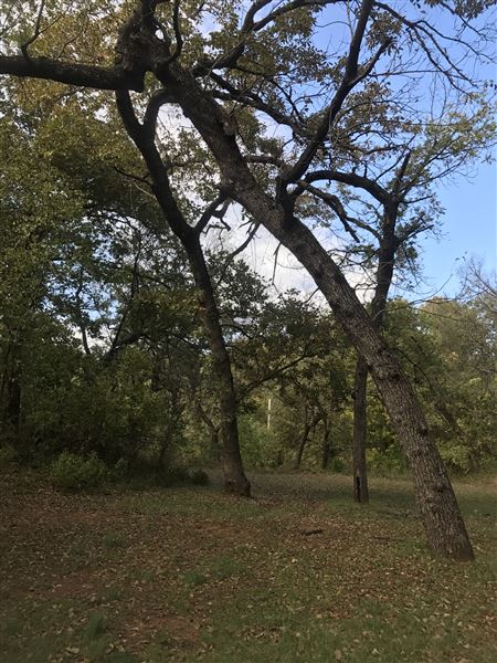 Camp DaKaNi (10/20/2017 - Credits: Yousef Kazemi)
