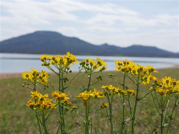 Lake Lawtonka (4/24/2018 - Credits: Yousef Kazemi)