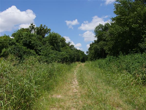 Stinchcomb Wildlife Refuge (7/31/2018 - Credits: Noah Janoe)