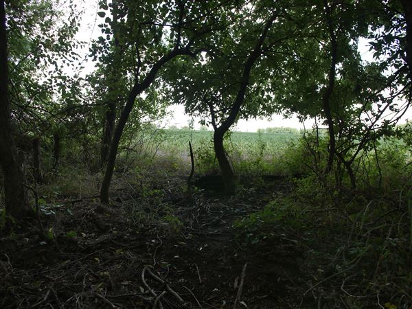 Stinchcomb Wildlife Refuge (7/31/2018 - Credits: Noah Janoe)