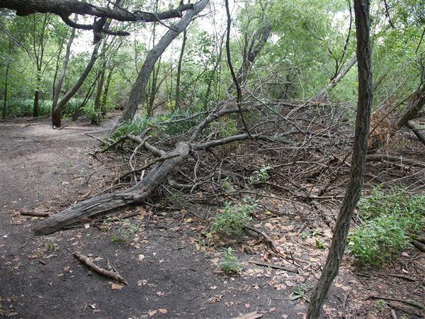 Stinchcomb Wildlife Refuge (7/31/2018 - Credits: Noah Janoe)