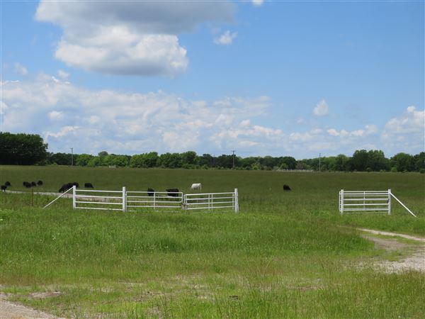 3 Bell Ranch (6/4/2021 - Credits: 6/3/2021)
