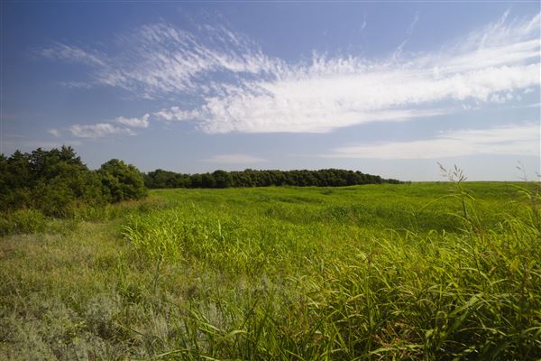 Rydell Ranch - field 1 - deciduous forest land and gentle rolling sandy farm land near a river bed (7/28/2021 - Credits: Jeffrey Rydell)