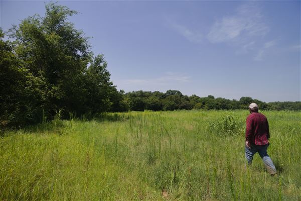 Rydell Ranch - field 1 - deciduous forest land and gentle rolling sandy farm land near a river bed (7/28/2021 - Credits: Jeffrey Rydell)