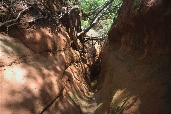Rydell Ranch - field 2 - 2 mounds with 100' deep "red rock" canyons in between  visibility of up to 30 miles from the top of the mound Covered in mostly in eastern red cedar and some oak trees with native grasses. features slot canyons and waterfalls.  (7/28/2021 - Credits: Jeffrey Rydell)