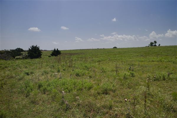 Rydell Ranch - field 3 - Clear cut rolling farmland with views of up to 30 miles few trees (7/28/2021 - Credits: Jeffrey Rydell)