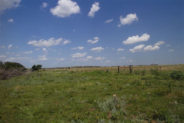 Rydell Ranch - field 6 Rolling farmland with deep canyons, large pond and  Covered in mostly in eastern red cedar and oak trees with native grasses. features slot canyons and waterfalls. (7/28/2021 - Credits: Jeffrey Rydell)