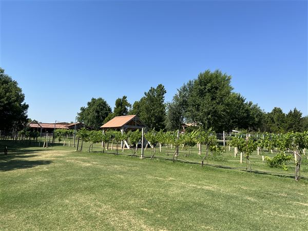Nellis Vineyards (6/22/2022 - Credits: Yousef Kazemi / OFMO)