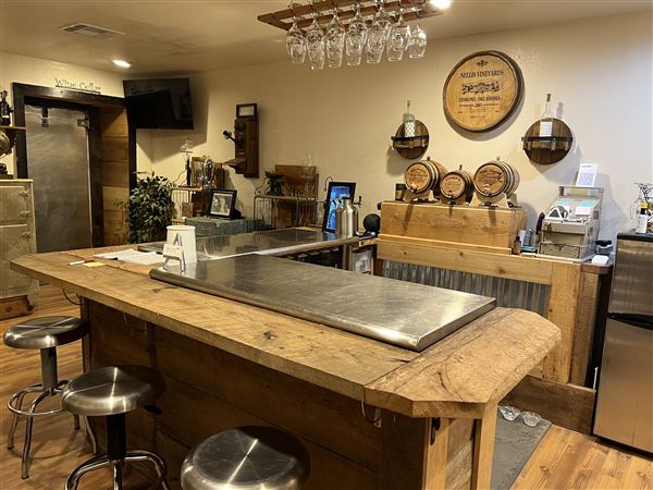 Nellis Vineyards (6/22/2022 - Credits: Yousef Kazemi / OFMO)