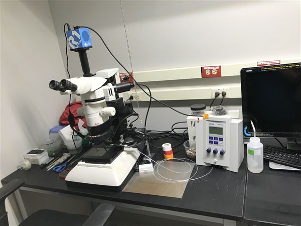 All Things Bugs (5/25/2023 - Credits: Dr. Aaron T. Dossey)