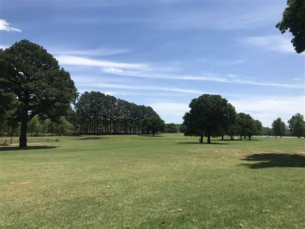 Chandler Municipal Golf Course (8/27/2024 - Credits: submitted by: Natalie  Nell)