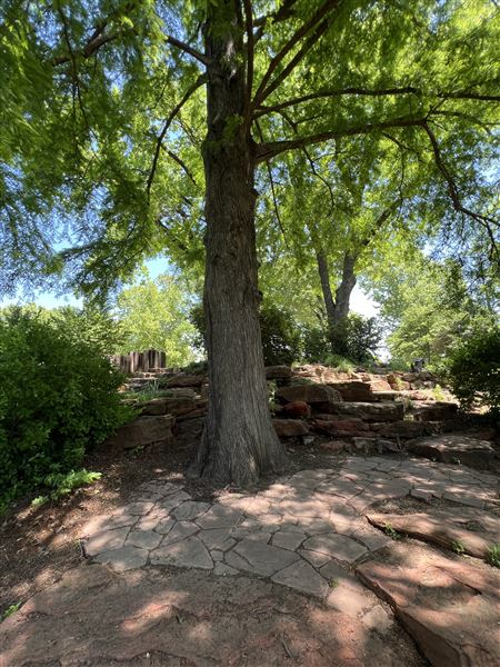 Will Rogers Gardens (5/14/2025 - Credits: Yousef Kazemi / OF+MO)