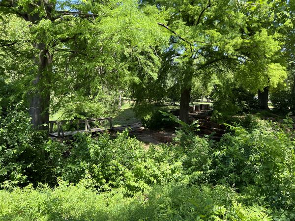 Will Rogers Gardens (5/14/2025 - Credits: Yousef Kazemi / OF+MO)