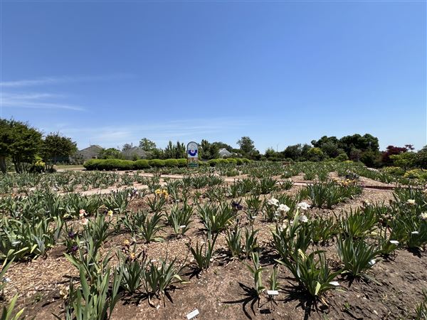 Will Rogers Gardens (5/14/2025 - Credits: Yousef Kazemi / OF+MO)