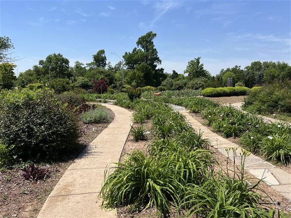Will Rogers Gardens (5/14/2025 - Credits: Yousef Kazemi / OF+MO)