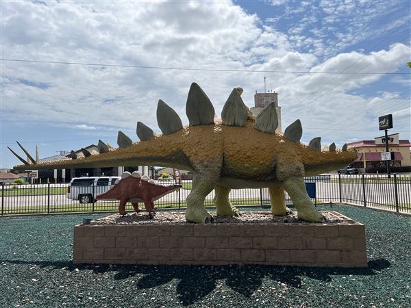 Dinosaur Photo Park (8/25/2023 - Credits: Yousef Kazemi / OF+MO)