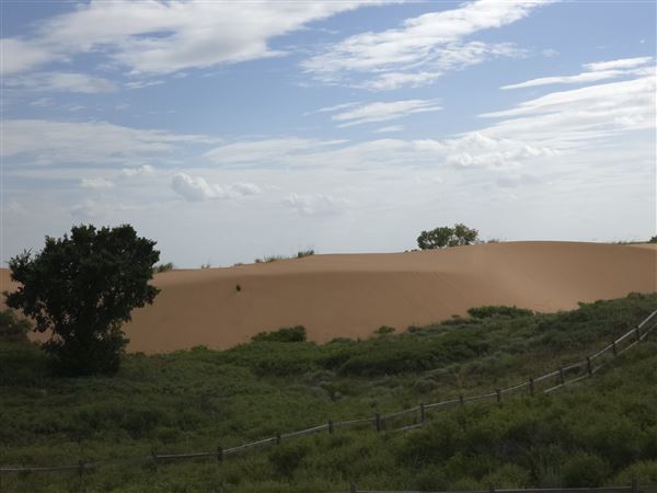 America's Oasis (7/7/2025)