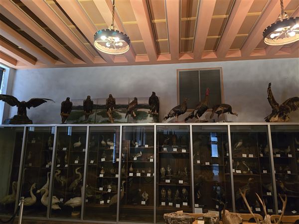 Northwestern Oklahoma State University Museum (7/2/2025 - Credits: Jeremy Zeller)