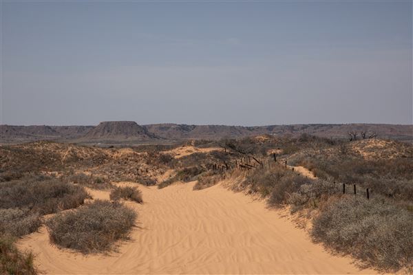 Little Sahara State Park (3/23/2026 - Credits: Travel OK)