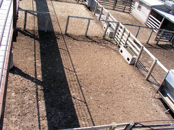 Oklahoma City Stockyards (2/9/2009)