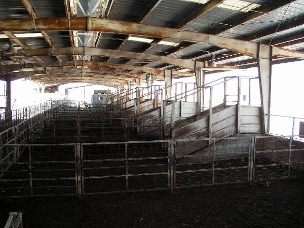Oklahoma City Stockyards (2/9/2009)