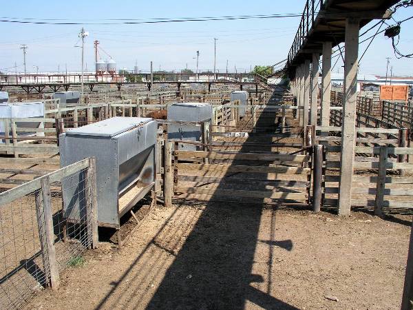 Oklahoma City Stockyards (2/9/2009)