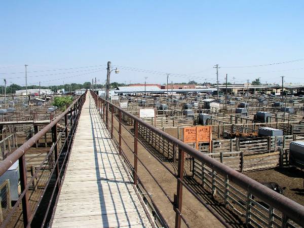 Oklahoma City Stockyards (2/9/2009)