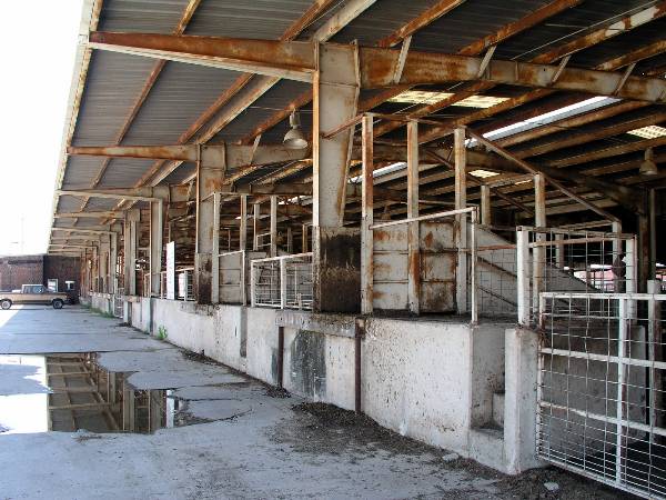 Oklahoma City Stockyards (2/9/2009)