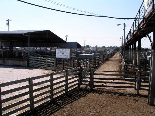 Oklahoma City Stockyards (2/9/2009)