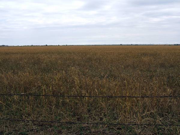Route 66- El Reno (2/11/2009)