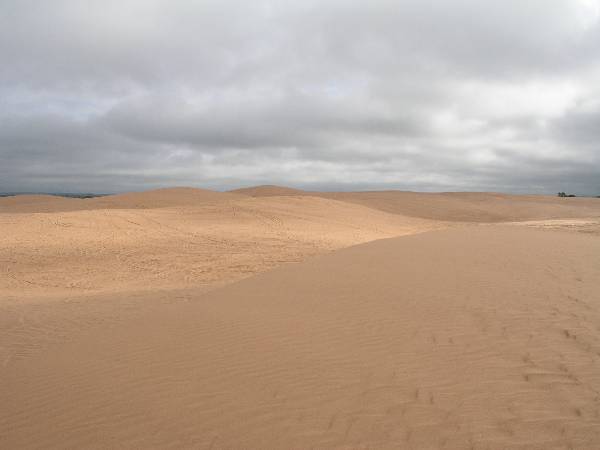 Little Sahara State Park (3/18/2009)
