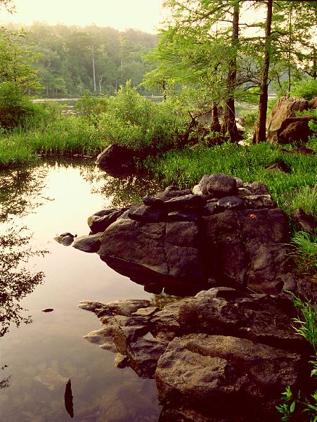 Beavers Bend & Hochatown State Park Lodge (4/9/2009)