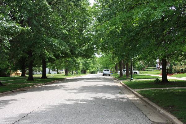 Mesta Park Historical Neighborhood (5/16/2009)