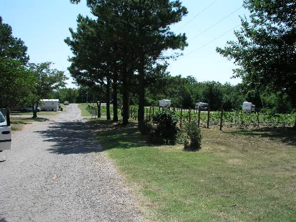 Glorietta Grapes and Guest Houses (6/5/2009)