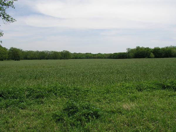 Sugarloaf Ranch (6/24/2009)