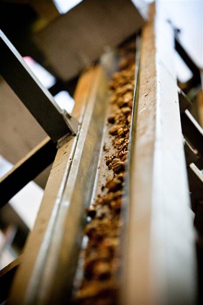Valley View Pecan Company (4/16/2014 - Credits: Oklahoma Tourism - TravelOK)