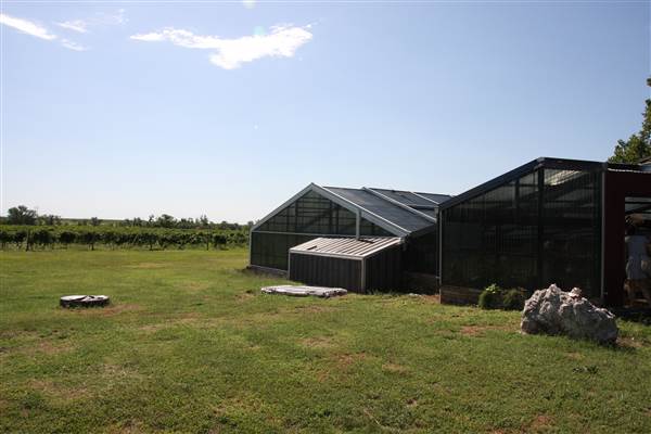 Silvertop Farm & Vineyards (9/9/2014)