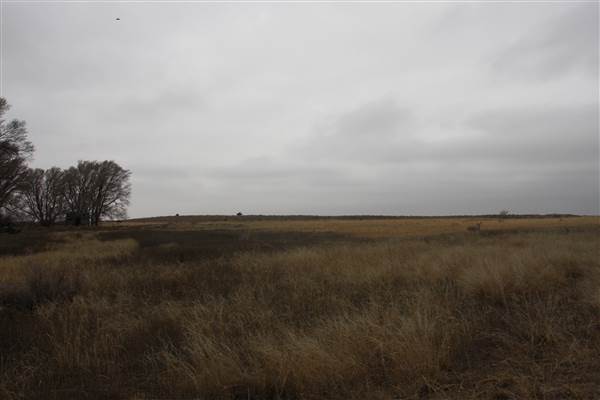 Nightmare in the Country - Kenton Ranch (12/10/2014 - Credits: Yousef Kazemi)