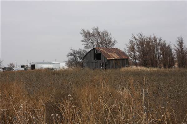 Abandoned Barn (12/10/2014 - Credits: Yousef Kazemi)