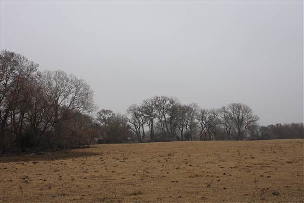Various Woodward Landscapes (12/10/2014 - Credits: Yousef Kazemi)