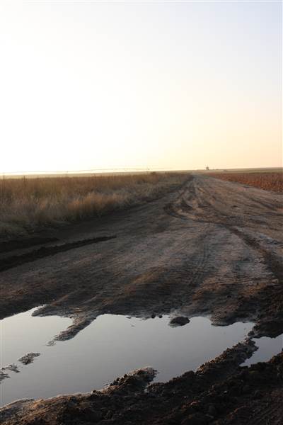 Hwy 412/36 - Guymon Area (12/11/2014 - Credits: Yousef Kazemi)