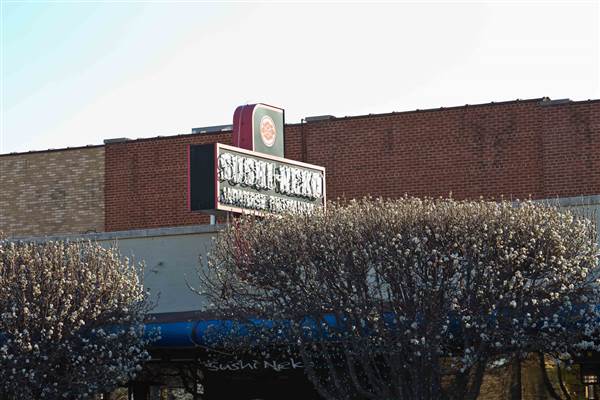 Sushi Neko (3/12/2015 - Credits: Layne Inselman)