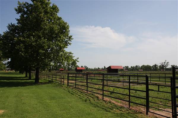 NFL Farms (7/2/2015 - Credits: Yousef Kazemi)