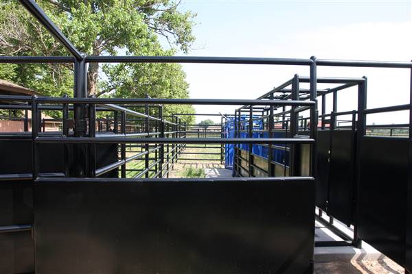 NFL Farms (7/2/2015 - Credits: Yousef Kazemi)