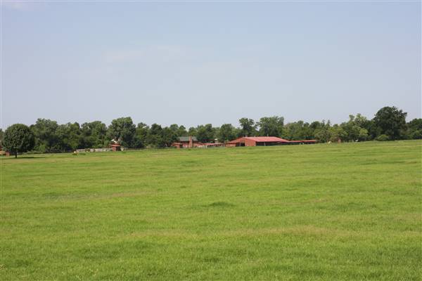 NFL Farms - Another huge area of stables located west of the offices/houses/main pens across the old polo field, but I wasn't able to photograph as there were unsecured watch dogs. Can photograph at a later date (7/2/2015 - Credits: Yousef Kazemi)