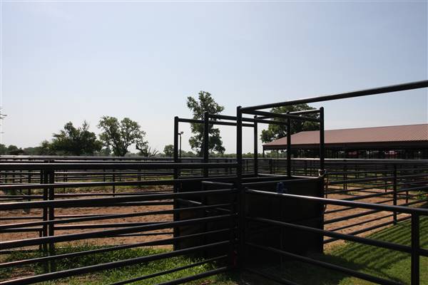 NFL Farms (7/2/2015 - Credits: Yousef Kazemi)