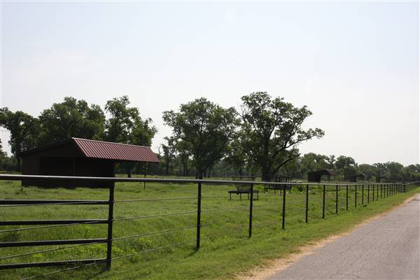 NFL Farms - off of Main road from circle leading into horse grazing areas and pens (7/2/2015 - Credits: Yousef Kazemi)