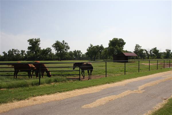 NFL Farms (7/2/2015 - Credits: Yousef Kazemi)